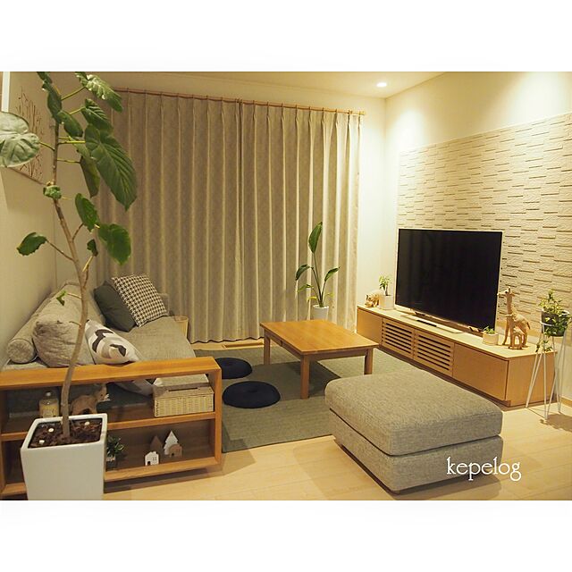 kepeの-LUCIO 15 ガーデニング 鉢カバー 鉢 おしゃれ 観葉植物 セメントの家具・インテリア写真