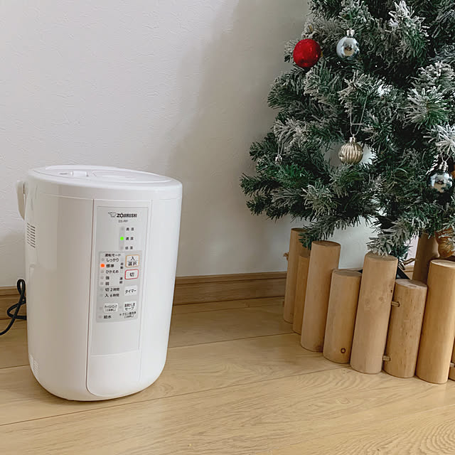 直営店に限定 ZOJIRUSHI 象印 EE-RR35-WA ホワイト スチーム式加湿器