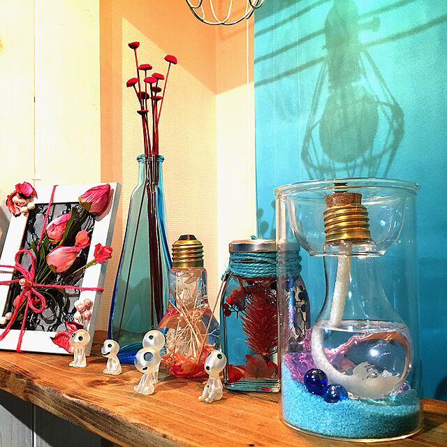 Satoshiの-水栽培用ポット：ガラスポットショート（容器のみ）*[水栽培にも花瓶にもなる便利な容器！]の家具・インテリア写真