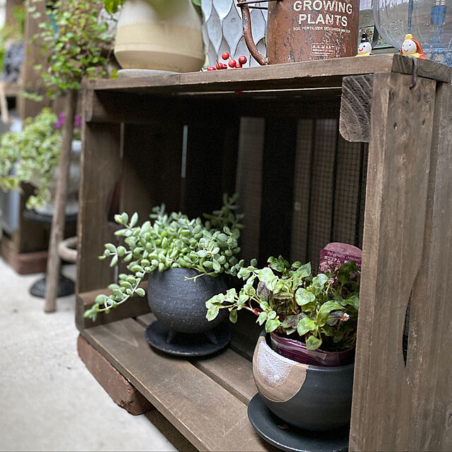 Kuniの-植木鉢 おしゃれ 陶器鉢 イオニアボウル 受皿付 ポット セラミック 釉薬の家具・インテリア写真