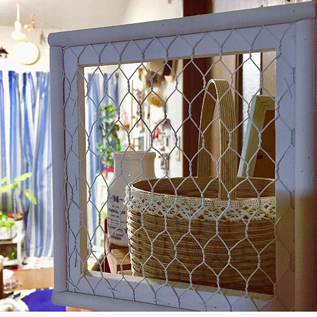 takakoのノーブランド品-【ハートリーフ】ウンベラータ 5号の家具・インテリア写真