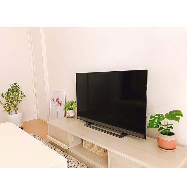 S9800の-【組立品/完成品が選べる】 テレビボード ローボード 薄型テレビ台 引き出し 収納 テレビラック 低い TV台 50インチ テレビ台 リビング収納 一人暮らし TVラック ローテレビ台 テレビ ラック ロー コーナー 北欧 木製 リビング おしゃれ TVBUW0020の家具・インテリア写真