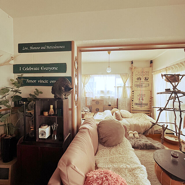 Mの丸八真綿-ムートンスリッパの家具・インテリア写真