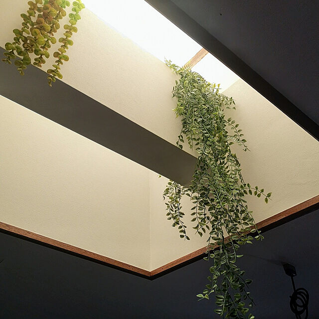 kunikunieの-フェイクグリーン 観葉植物 室内用 壁掛け 吊り下げ 人工観葉植物 インテリア リアル (ボックスウッド)の家具・インテリア写真