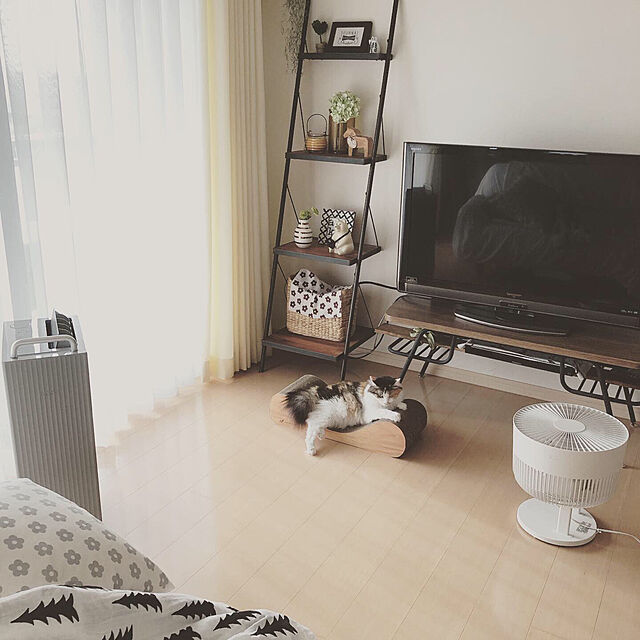 sumosarozaのミヤコ商事-journal standard Furniture CHINON LADDER SHELFの家具・インテリア写真