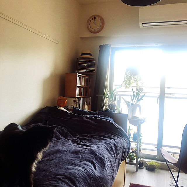 annのイケア-SANELA サネーラ 遮光カーテン（わずかに透光） 1組の家具・インテリア写真