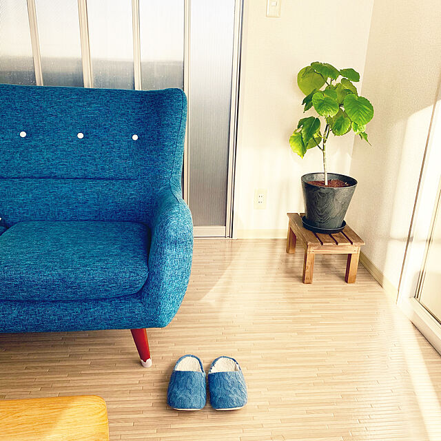 Okunoriのニトリ-スリッパ(Nウォーム ケーブル BL M i-n) の家具・インテリア写真