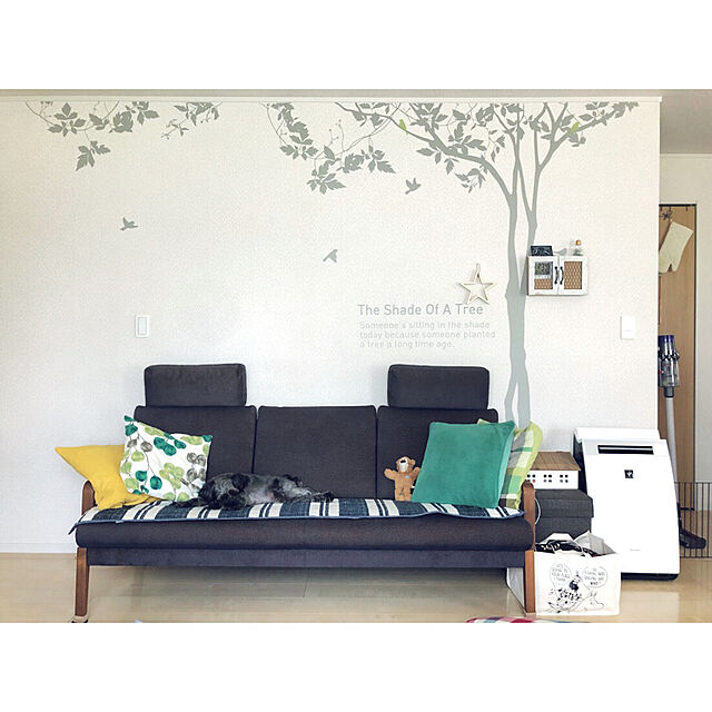 P-conutsのニトリ-ジャンボクッションカバー(NチェックGR) の家具・インテリア写真