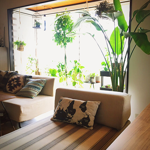 Yukinekoのニトリ-クッションカバー(アニマル マルオ) の家具・インテリア写真