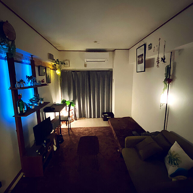 sheyarの不二貿易-アイリスプラザ(IRIS PLAZA) ソファベッド ブルー 104×86×62cm ロータイプ SFB-03Fの家具・インテリア写真