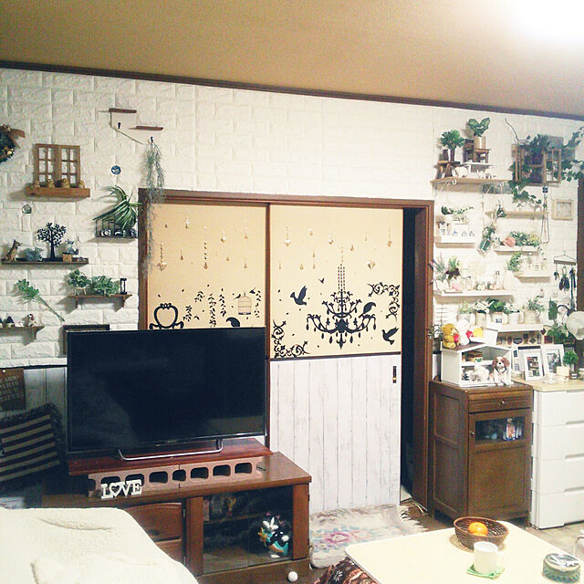 Tomopの-【当店農場生産】多肉植物 クラッスラ クーペリー 7.5センチポットの家具・インテリア写真