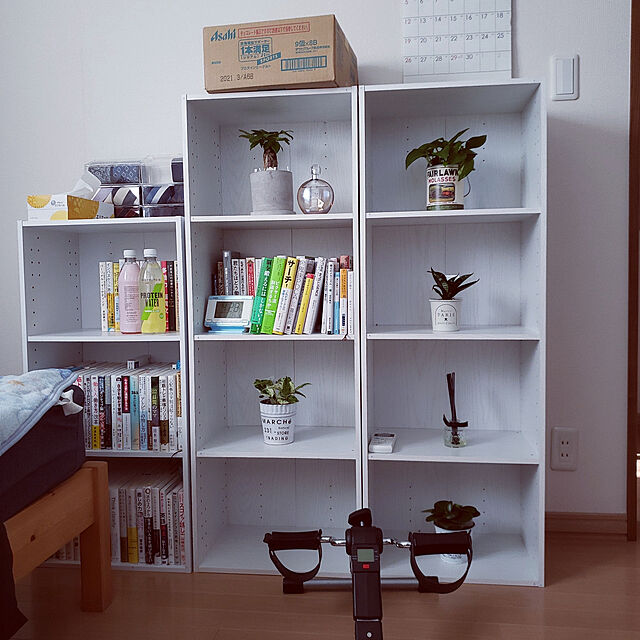 natyenaoのニトリ-壁面ユニットオープンシェルフ(基本セット プロモMBR 4段) の家具・インテリア写真