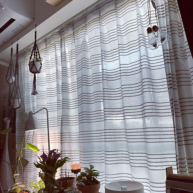 porinのニトリ-遮熱レースカーテン(リネア ブラウン 100X138X2) の家具・インテリア写真