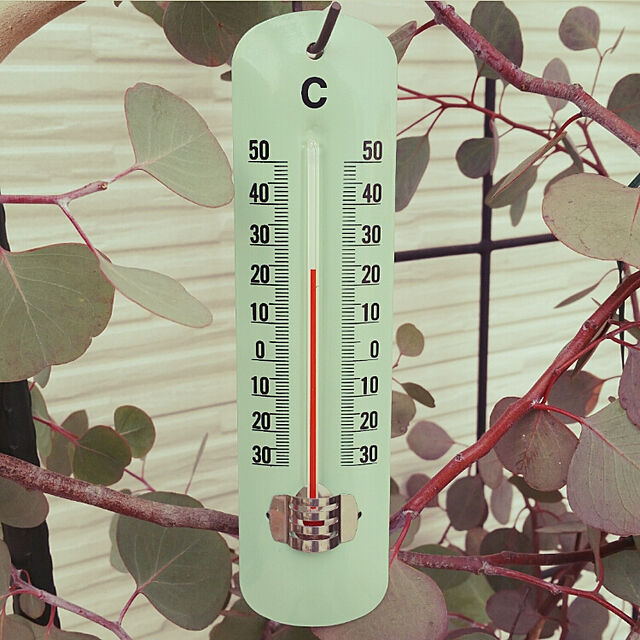 nia1213のポッシュリビング-TOP-3 温度計 ライトグリーン【hc8】の家具・インテリア写真
