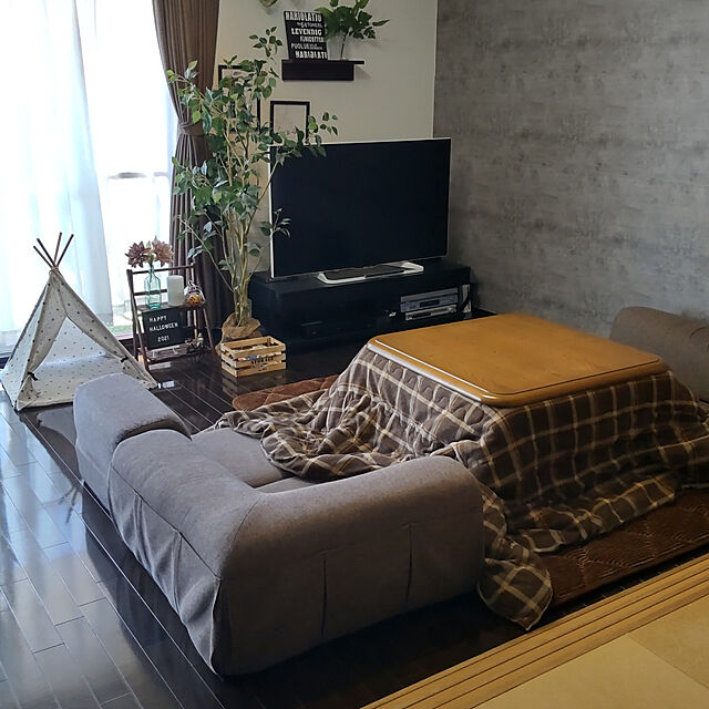 fuutaのニトリ-こたつ掛ふとん 正方形(ブラウニーQ セイ) の家具・インテリア写真