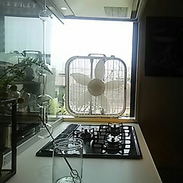 spinetailの-LASKO（ラスコ） Box Fan サーキュレーターの家具・インテリア写真