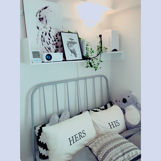 hnhncocoのスタープラチナ-壁美人シェルティ 壁掛けシェルフ 壁美人シェルティシリーズ ウォールシェルフ SLTKBWS100の家具・インテリア写真
