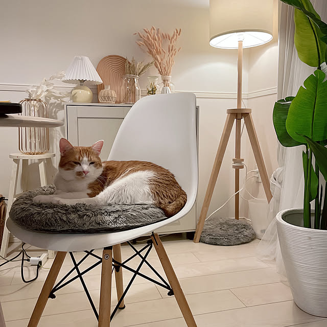 LAUTERS IKEA ラウテルス スタンドライト