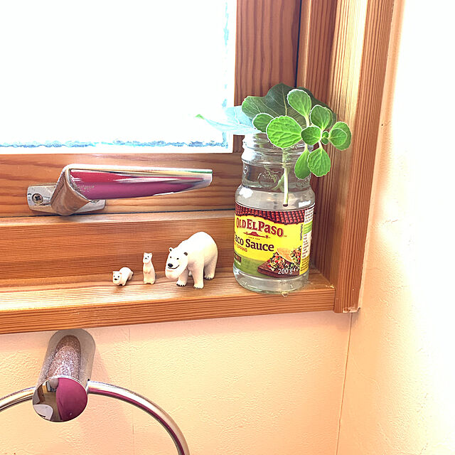 korokoroの-育てる芳香剤 アロマティカス 3号ポット 観葉植物 おしゃれ 苗の家具・インテリア写真