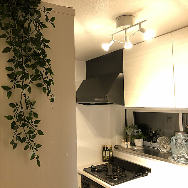 kyoko1124koの-FEJKA フェイカ人工観葉植物, 室内/屋外用, つり下げ型403.495.45の家具・インテリア写真