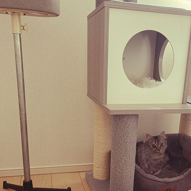 kkkの-Homeletter 猫 ベッド ペットベッド 犬 50.8×48.3×15.3CM ペットソファー ふわふわ 柔らかい 丸洗い ペットクッションの家具・インテリア写真