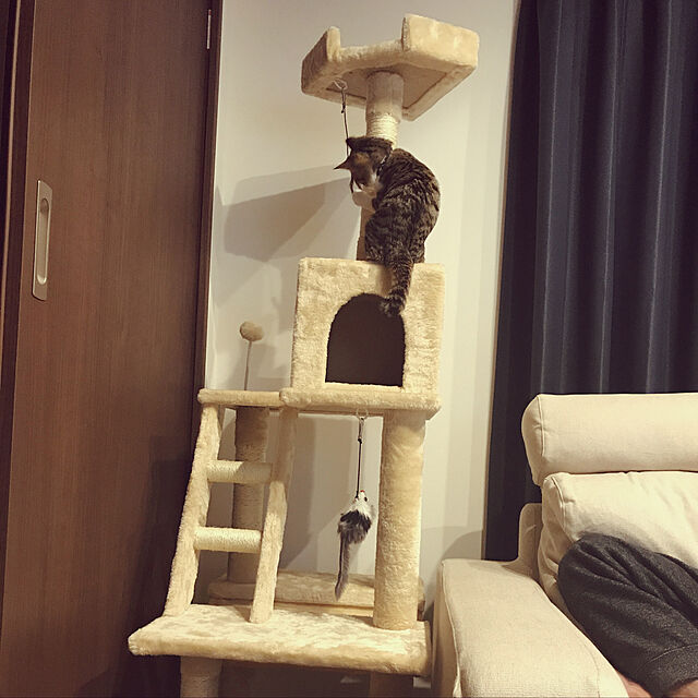 eriのアイリスオーヤマ(IRIS OHYAMA)-アイリスプラザ キャットタワー ハンモック 爪とぎ コンパクト おもちゃ付き 据え置き型 仔猫にも ベージュ キャットランド 高さ155cmの家具・インテリア写真