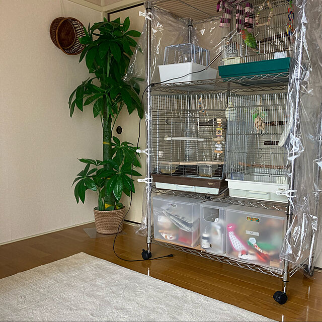 toratanの三晃商会-小鳥 小動物 ペットキャリー サンコー いっしょにおでかけ ウィズキャリー Mの家具・インテリア写真