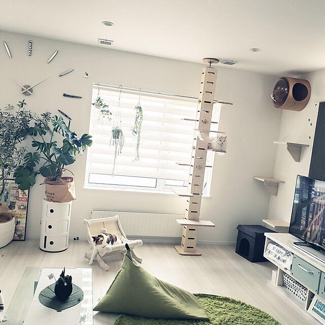 megu.catの-リビング に合う 椅子型 ペットハウス キャットハウス スツール☆数量限定の家具・インテリア写真