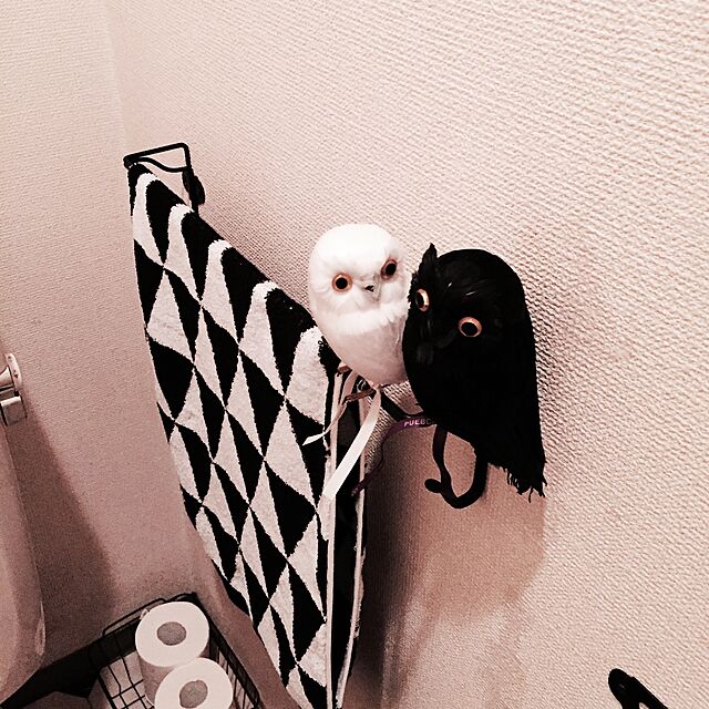 mimi6996の-☆PUEBCO（プエブコ）ふくろう Owl ホワイトleft（横向き）リアルなフクロウの置物雑貨通販【RCP】の家具・インテリア写真
