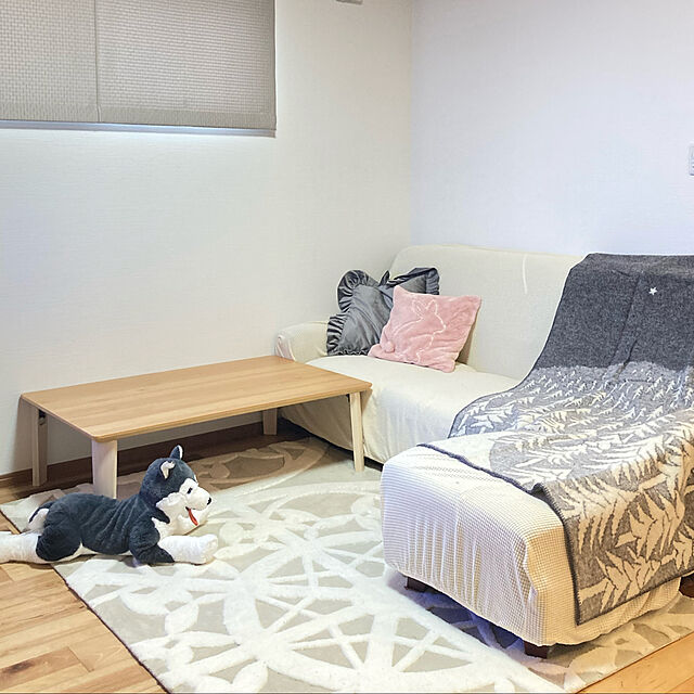 shinのニトリ-クッションカバー(エンブロラパン) の家具・インテリア写真