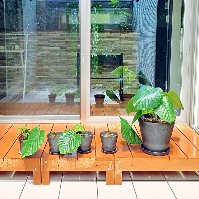 HINAMIZUのアイリスオーヤマ(IRIS OHYAMA)-アイリスオーヤマ 培養土 花 野菜用 ゴールデン粒状培養土 14L GRBA-14の家具・インテリア写真