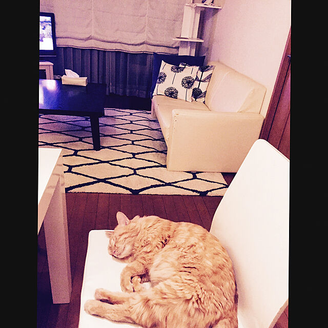 Ryokoの-【半額セール/在庫限り】キャットタワー 据え置き ペッツデポ オリジナル ねこタワー キャットスクエア ホワイト 木製 据置タイプ (省スペース 猫タワー ミニ 木製 おしゃれ スリム)(成猫 大きい猫)|の家具・インテリア写真