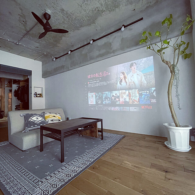 ponchaの大光電機-ASN-014 ダイコー シーリングファン【カチット式】 DAIKO [ASN014]の家具・インテリア写真