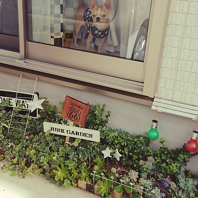 yossyの-【送料無料】ミニレンガ ガーデニング ミニブリック おしゃれ かわいい 小さい 花壇ブロック (40個)セット/庭/ガーデン/エクステリア/ガーデニングの家具・インテリア写真