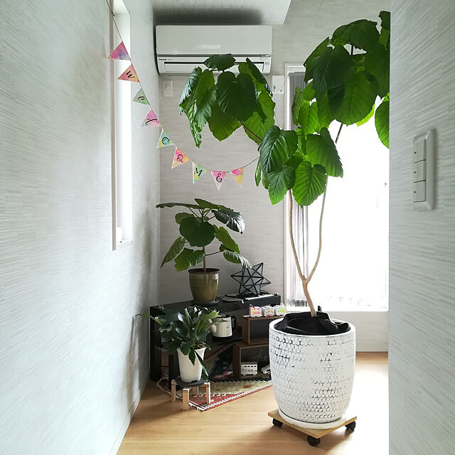 Jijiの-トンボ鉛筆 テープのりピットエアー5m巻花園柄 PN-MASM5G02 1個の家具・インテリア写真