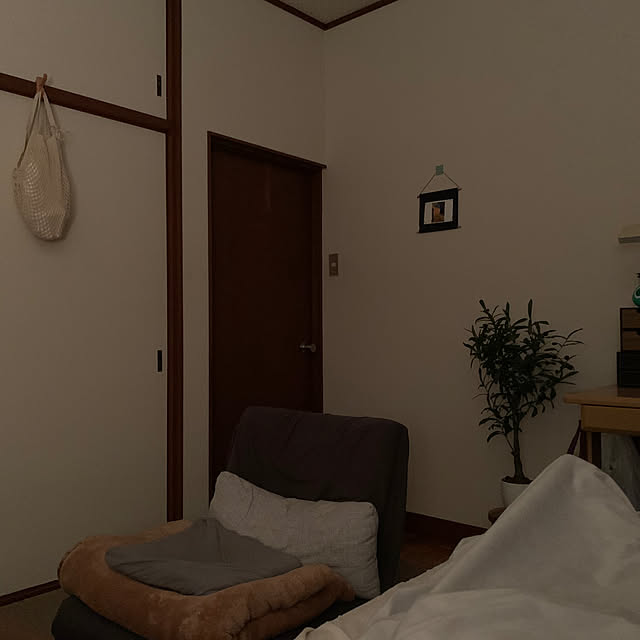HALOの宝島社-ぷよぷよ お部屋ライトBOOK (バラエティ)の家具・インテリア写真