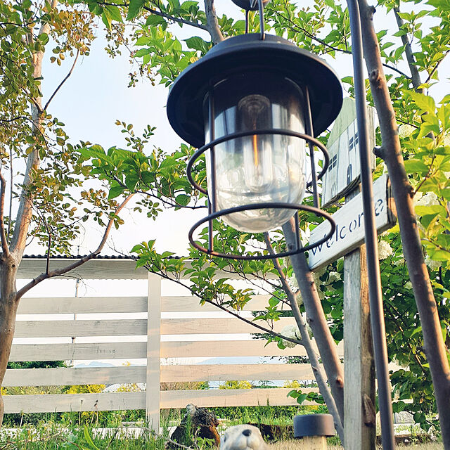 prepreの-【送料無料】DAIS LED ソーラー ガーデンライト 2個入 吊り下げ型 ソーラーライト エジソン電球 電球色 LEDライト ランタン 屋外 照明 夜間自動点灯 庭園灯の家具・インテリア写真