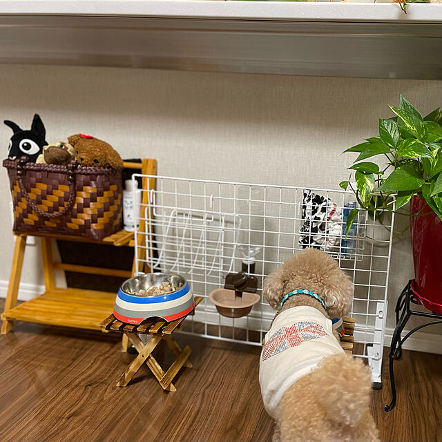 Ran.Happyのリッチェル-ペットボトル　給水器　犬 猫 リッチェル　ペット用　ウォーターディッシュ　S　ブラウン(BR)　お皿型だから飲みやすいの家具・インテリア写真