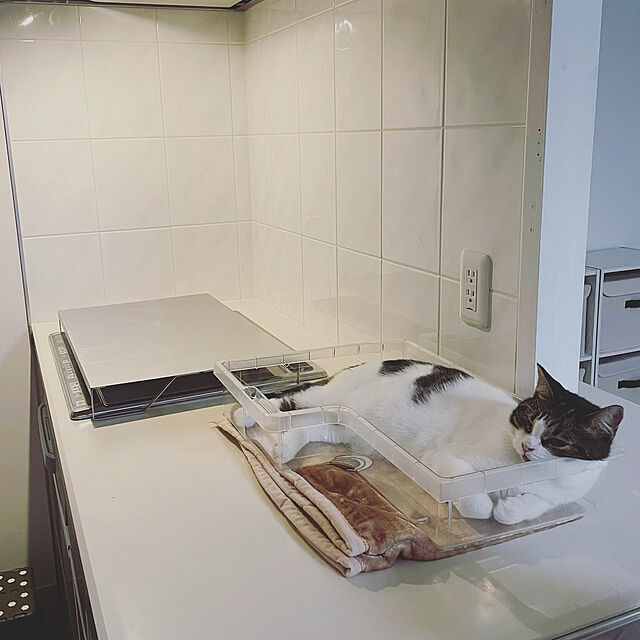 hemukoのBridgehappy-コンロカバー フラット 日本製 ガス IH コンロ カバー ステンレス 燕製 幅60cm用 傷つきにくい新素材使用 ビルトインコンロ 猫対策の家具・インテリア写真