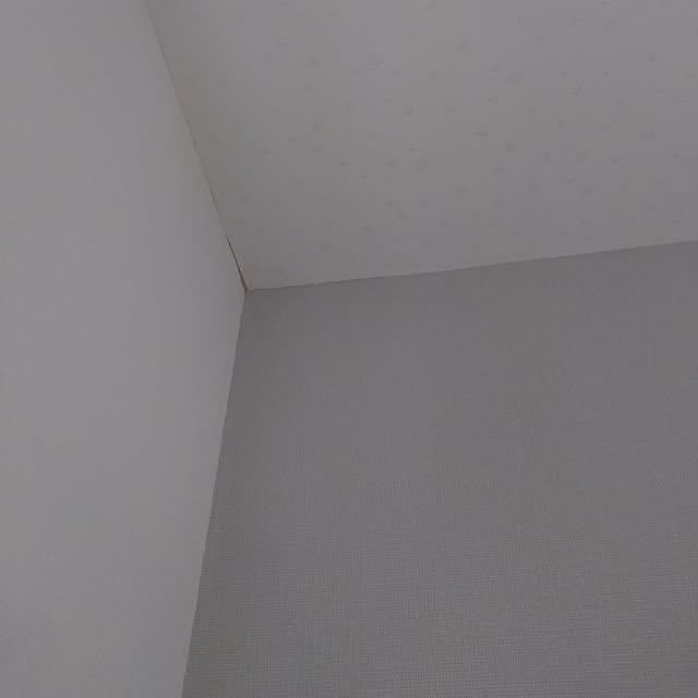rnjの-ルノン のりなし壁紙・クロス RM931の家具・インテリア写真