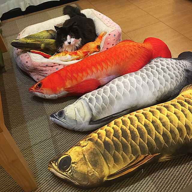 kanaの-ネコおもちゃ hosam けりぐるみ 魚の形 アロワナ 3色　ネコのストレス解消 トレーニング グーズ (L-40cm, ゴールド)の家具・インテリア写真