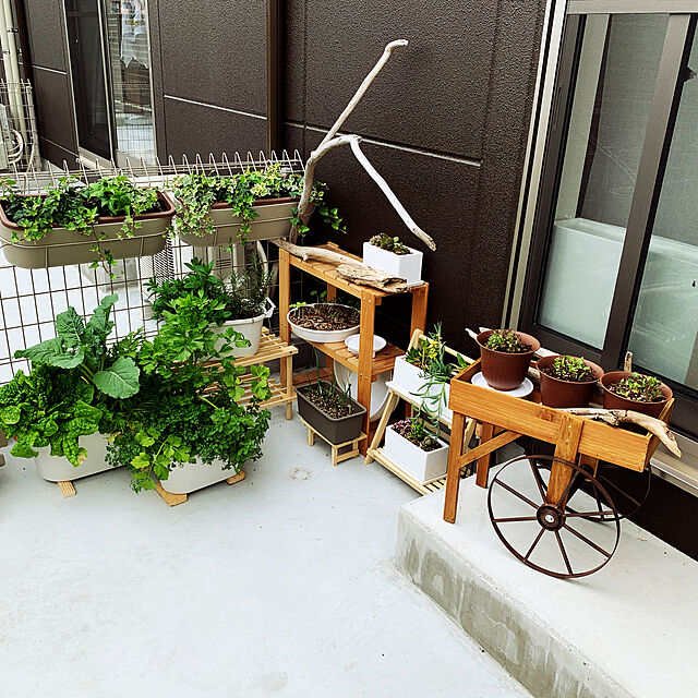Yuukoの-salut!(サリュ) salut!(サリュ) 【カントリーライフ】ディスプレイアピールワゴン ブラウンの家具・インテリア写真