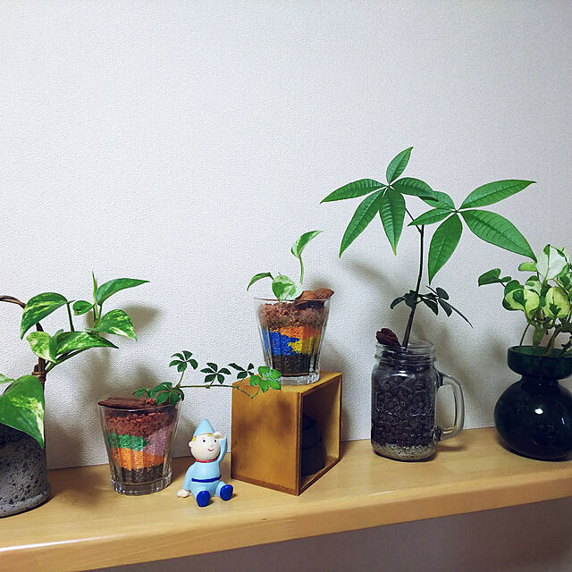 akiwaka-roomのサカタのタネ-ハイドロカルチャー ハイドロボール 中粒 2Lの家具・インテリア写真