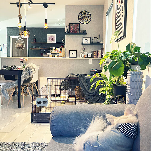 ya-coのイケア-SANNAHED サンナヘド フレームの家具・インテリア写真
