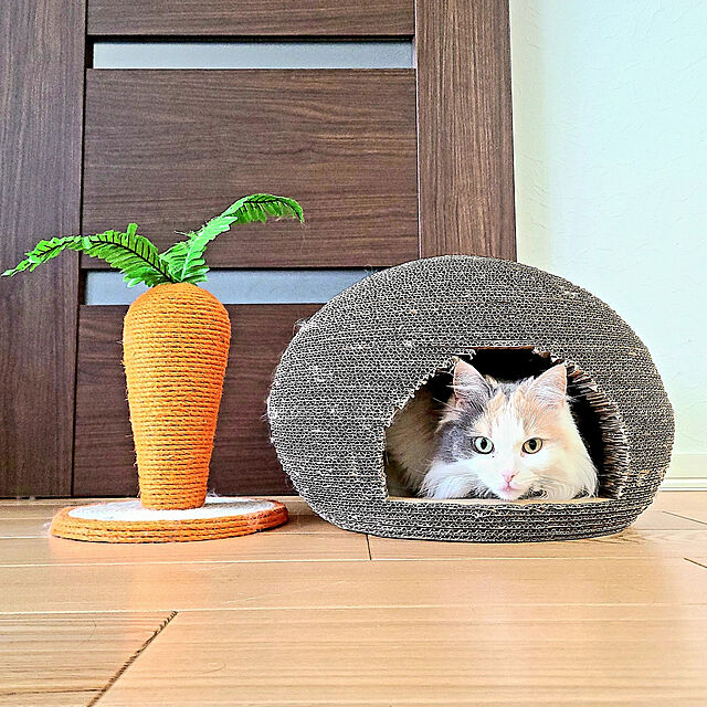 akiko6193の-猫のくら【猫壱】猫用ベッドの家具・インテリア写真