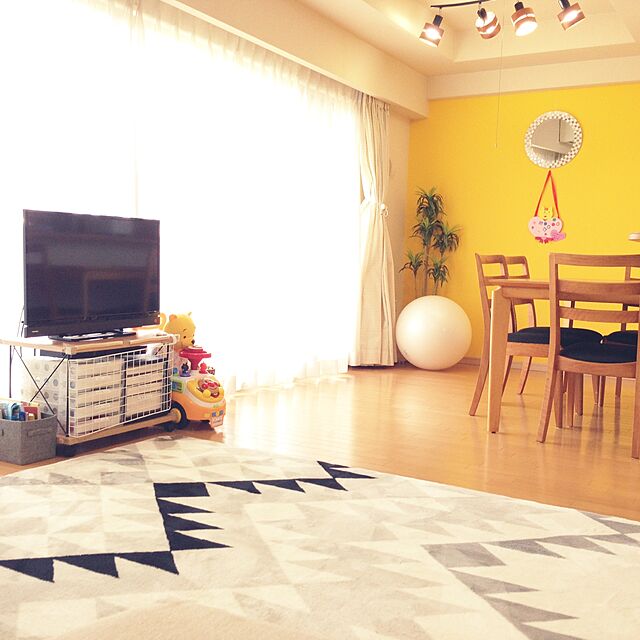neneの-アルインコ エクササイズボール 65cm WB125【送料無料】の家具・インテリア写真