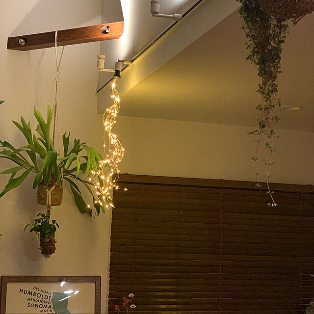 yurikuのスワン電器-SWAN スワン電器 Another Garden LED Swan bulb sparkler M LEDスワンバルブスパークラーM SWB-S700L ガーランドライト LEDイルミネーション イルミ 照明の家具・インテリア写真