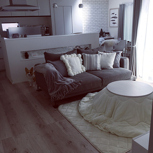 3ayuの-イレパネウッディ ニューアートフレーム B2 ホワイトウッド ポスターフレーム イレパネ (エコイレパネ) シリーズ B2サイズの家具・インテリア写真