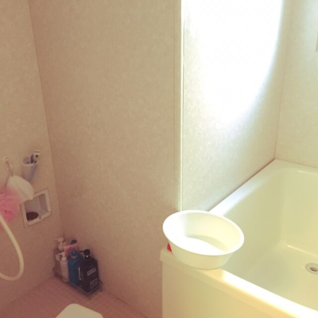 georgegeorgeのアラミック-アラミック シャワーヘッド イオニックプラス・ビタミンCシャワー Arromic [IVS-24N] あす楽の家具・インテリア写真