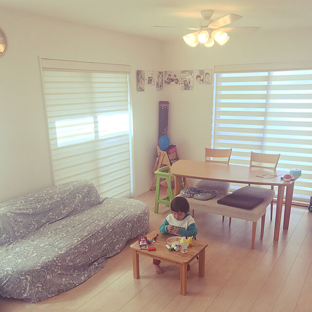 Tanakaaaの-タチカワブラインド製 調光ロールスクリーンデュオレ/シエンテ防炎 単色フレーム/サイズオーダー/全4色の家具・インテリア写真